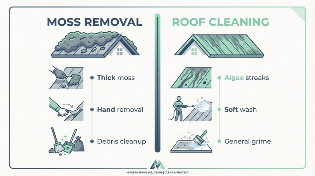 Comparison chart showing differences between Moss Removal and Roof Cleaning services.
